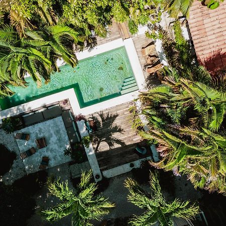 Griss Lodge & Spa Playa Santa Teresa  المظهر الخارجي الصورة