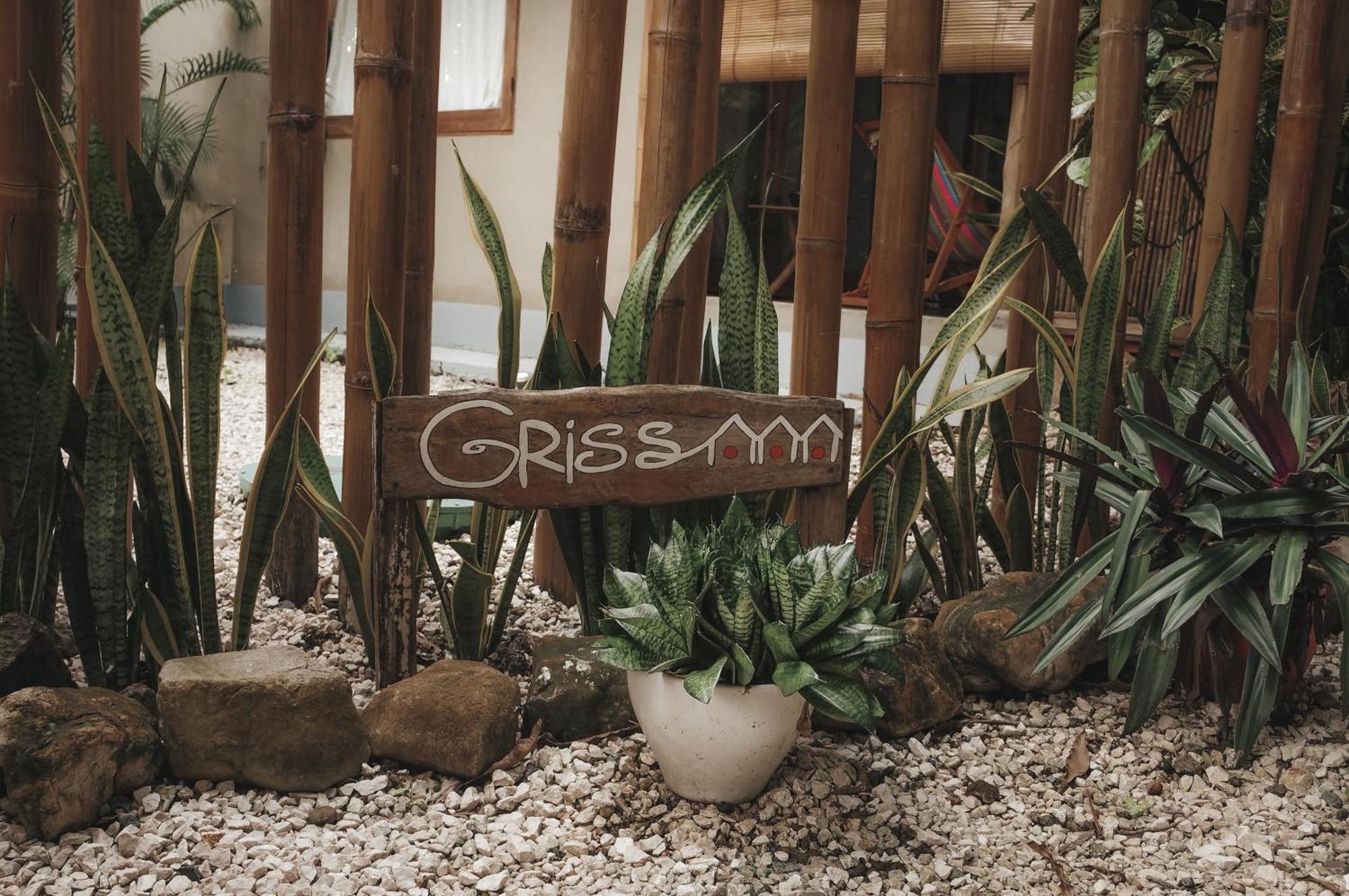 Griss Lodge & Spa Playa Santa Teresa  المظهر الخارجي الصورة