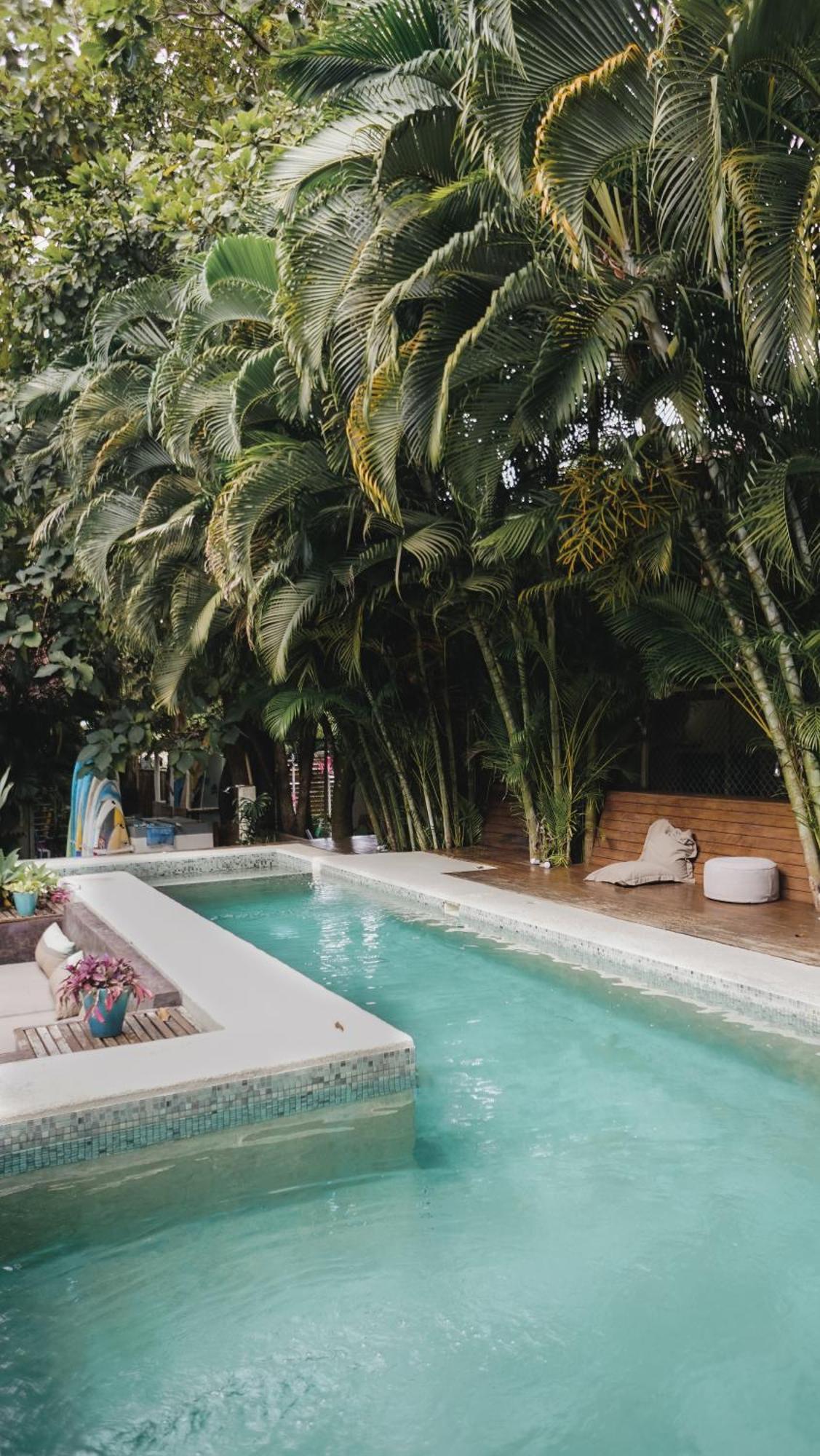 Griss Lodge & Spa Playa Santa Teresa  المظهر الخارجي الصورة