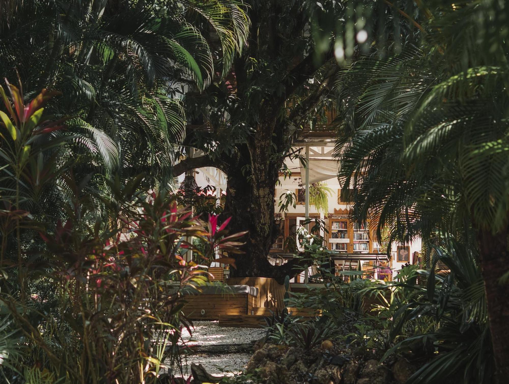 Griss Lodge & Spa Playa Santa Teresa  المظهر الخارجي الصورة