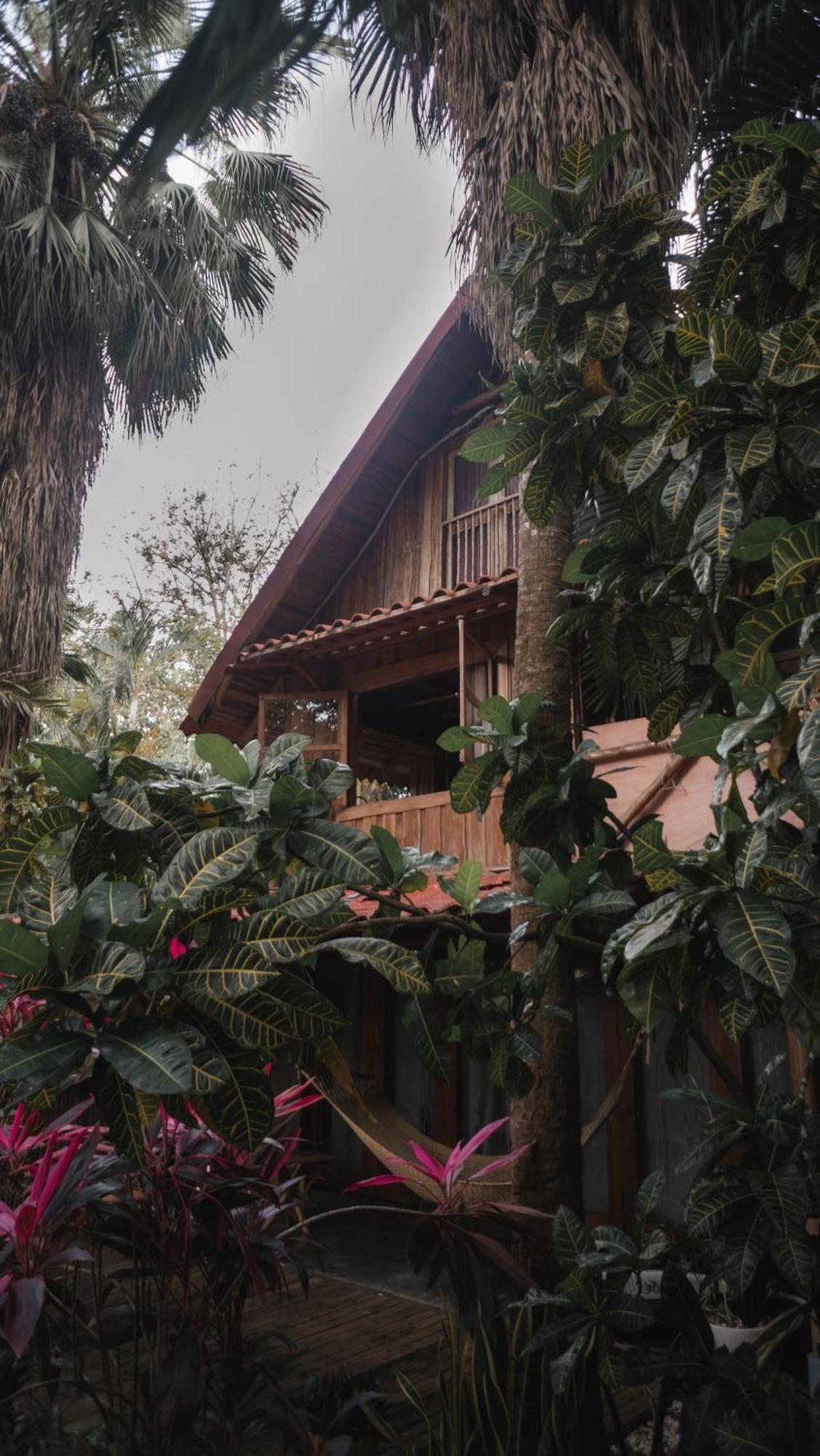 Griss Lodge & Spa Playa Santa Teresa  المظهر الخارجي الصورة