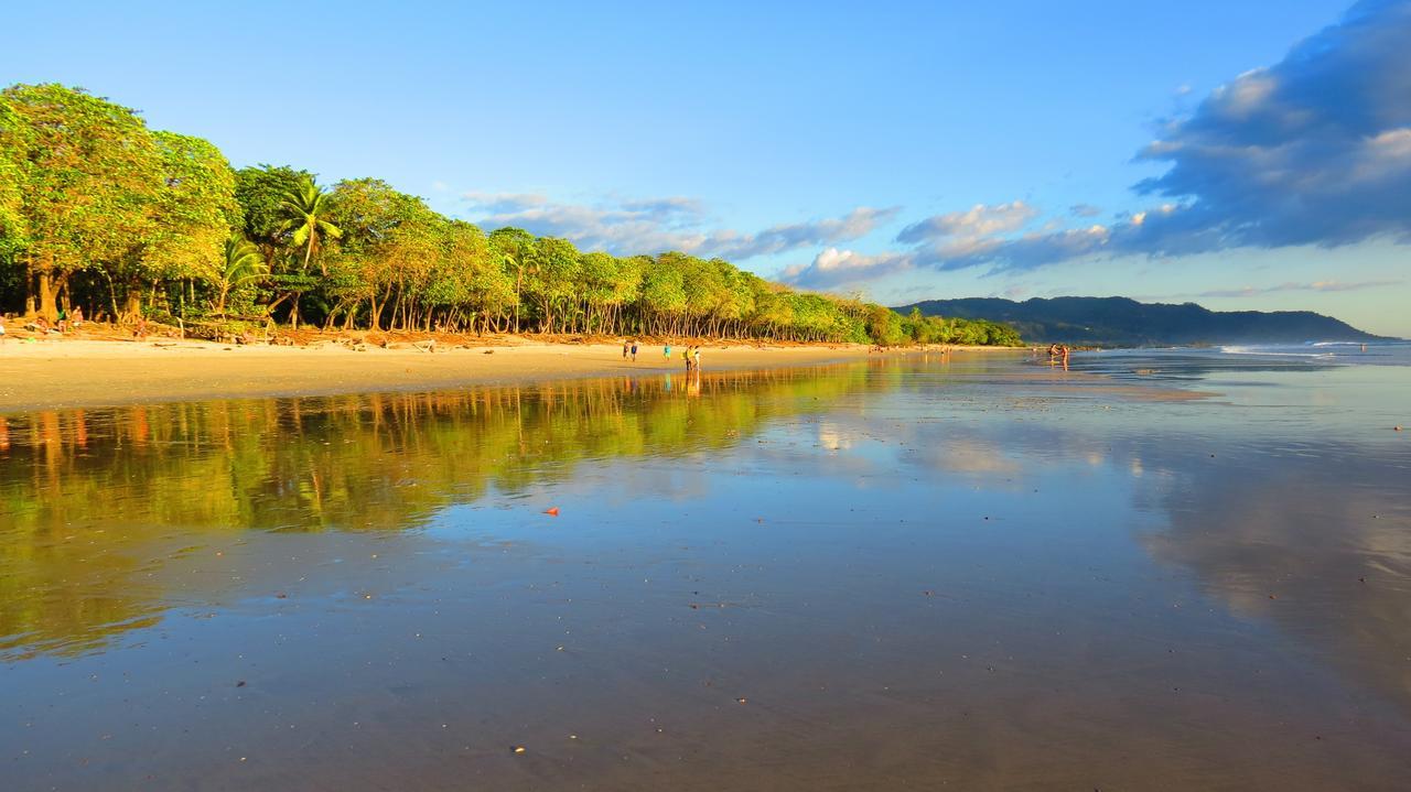 Griss Lodge & Spa Playa Santa Teresa  المظهر الخارجي الصورة